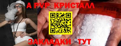 стаф Можга