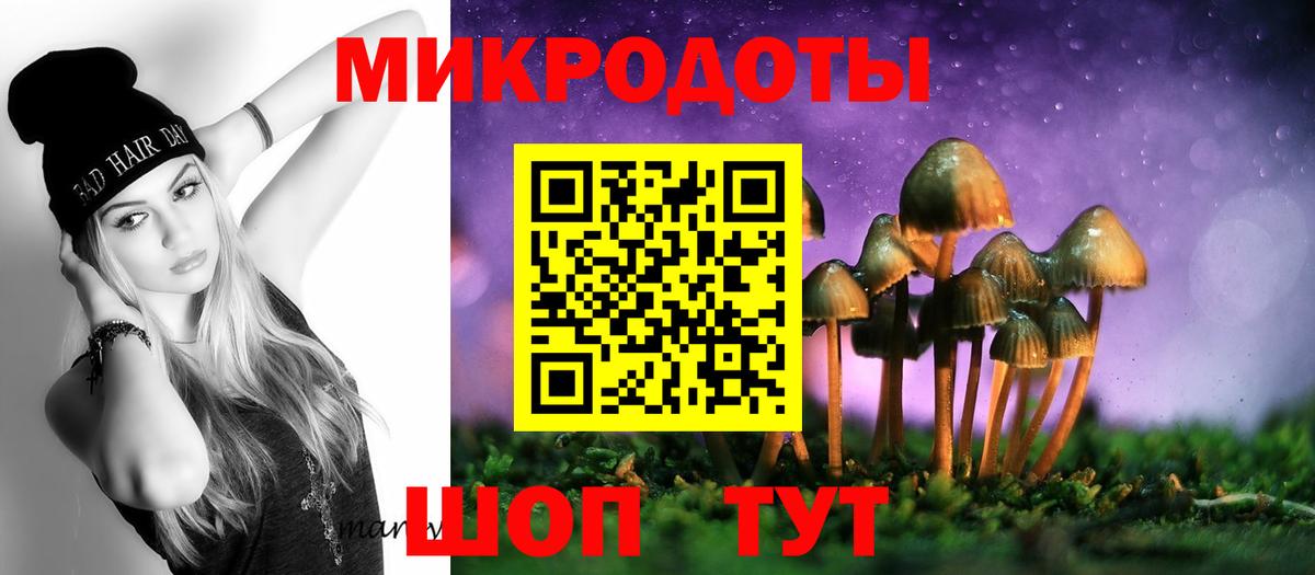 Псилоцибиновые грибы GOLDEN TEACHER Сосновый Бор